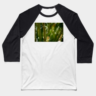 Yucca Art Baseball T-Shirt